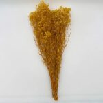 Natural Dried Flowers