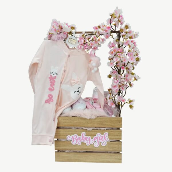 Baby Girl Clothes Keepsake Hamper