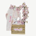 Baby Girl Clothes Keepsake Hamper