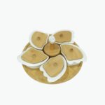 Luxury Segmented Ceramic Serving Dish