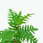 Small Artificial Potted Plant