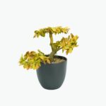 Large Faux Floor Plant in Basket