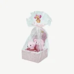Baby Welcome Giveaway Gypsum Box with Twin Mini Teddy Bears (20x10 cm) (4)
