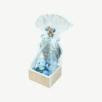 Baby Welcome Giveaway Gypsum Box with Twin Mini Teddy Bears (20x10 cm) (5)