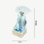 Baby Welcome Giveaway Gypsum Box with Twin Mini Teddy Bears (20x10 cm) (6)