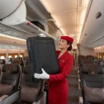 Premium Fabric Travel Suitcase with Spinner Wheels (7)